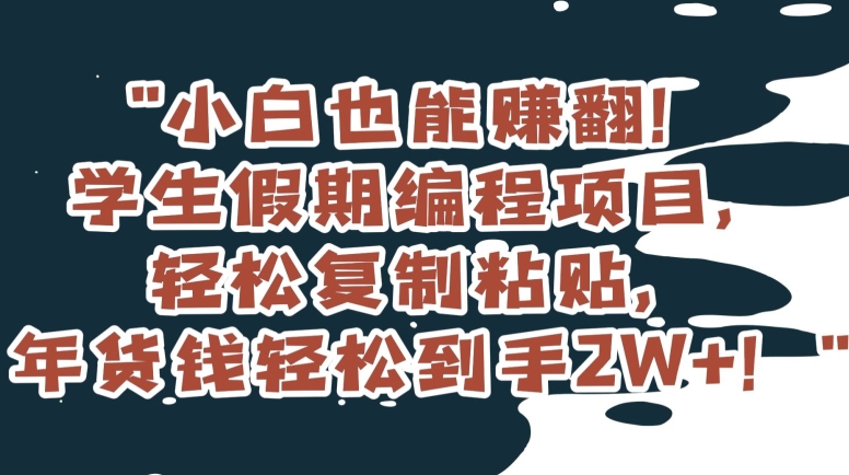 小白也能赚翻！学生假期编程项目，轻松复制粘贴，年货钱轻松到手2W+【揭秘】-优才资源站