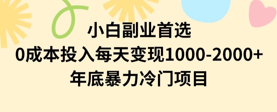 小白副业首选，0成本投入，每天变现1000-2000年底暴力冷门项目【揭秘】-优才资源站