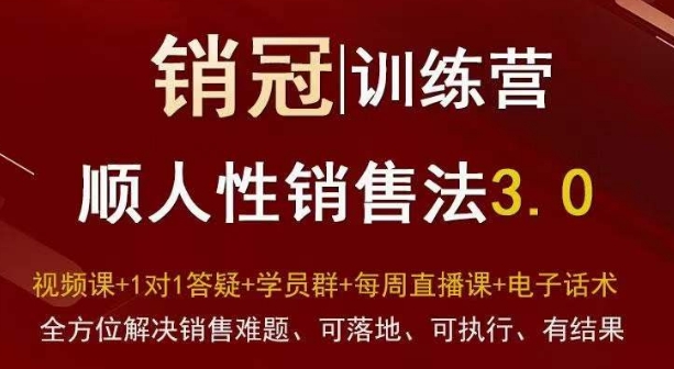 爆款！销冠训练营3.0之顺人性销售法，全方位解决销售难题、可落地、可执行、有结果-优才资源站