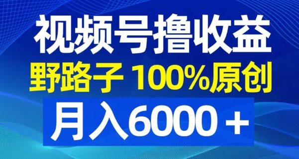 视频号野路子撸收益，100%原创，条条爆款，月入6000＋【揭秘】-优才资源站