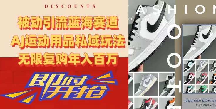 被动引流蓝海赛道，AJ运动用品私域玩法，无限复购年入百万【揭秘】-优才资源站