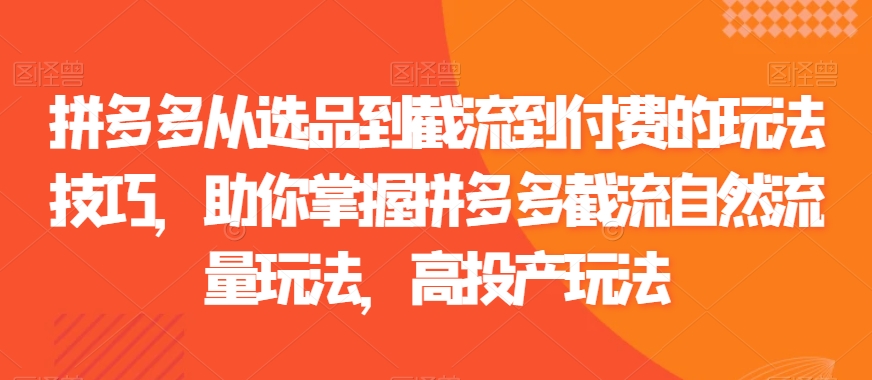 拼多多从选品到截流到付费的玩法技巧，助你掌握拼多多截流自然流量玩法，高投产玩法-优才资源站