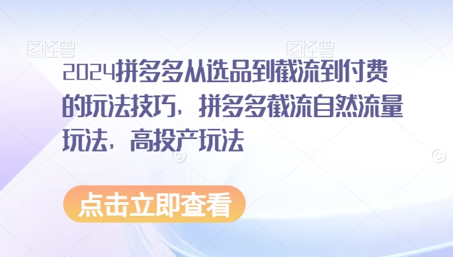 2024拼多多从选品到截流到付费的玩法技巧，拼多多截流自然流量玩法，高投产玩法-优才资源站