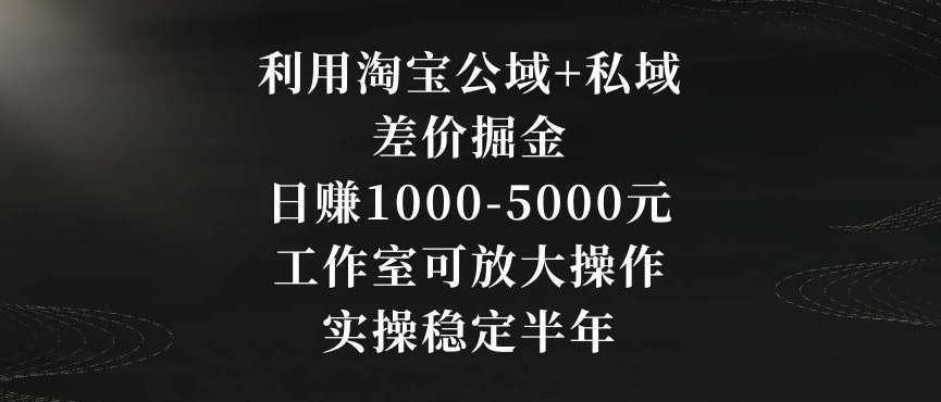利用淘宝公域+私域差价掘金，日赚1000-5000元，工作室可放大操作，实操稳定半年【揭秘】-优才资源站