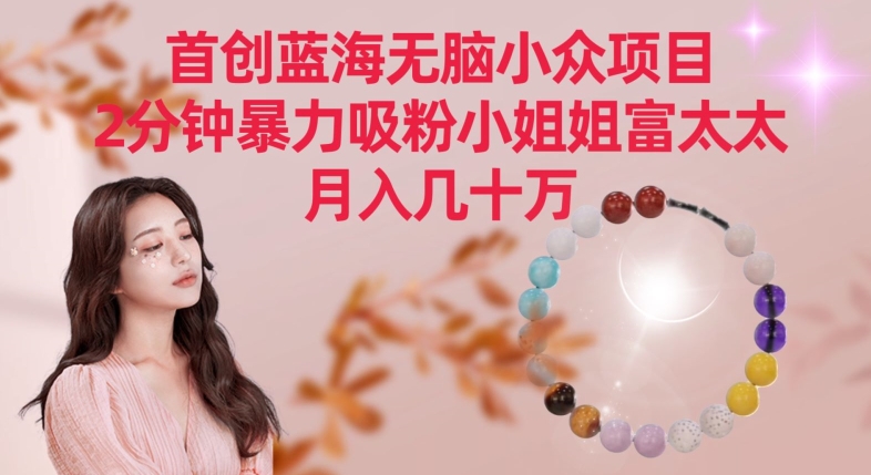 首创蓝海无脑小众项目，2分钟暴力吸粉小姐姐富太太，月入几十万【揭秘】-优才资源站