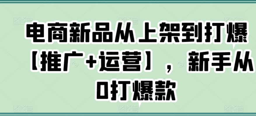 电商新品从上架到打爆【推广+运营】，新手从0打爆款-优才资源站