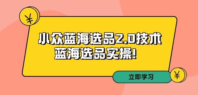 拼多多培训第33期：小众蓝海选品2.0技术-蓝海选品实操！-优才资源站