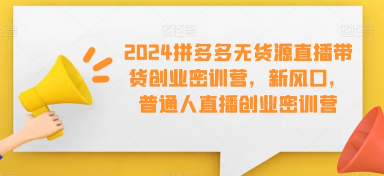 2024拼多多无货源直播带货创业密训营，新风口，普通人直播创业密训营-优才资源站