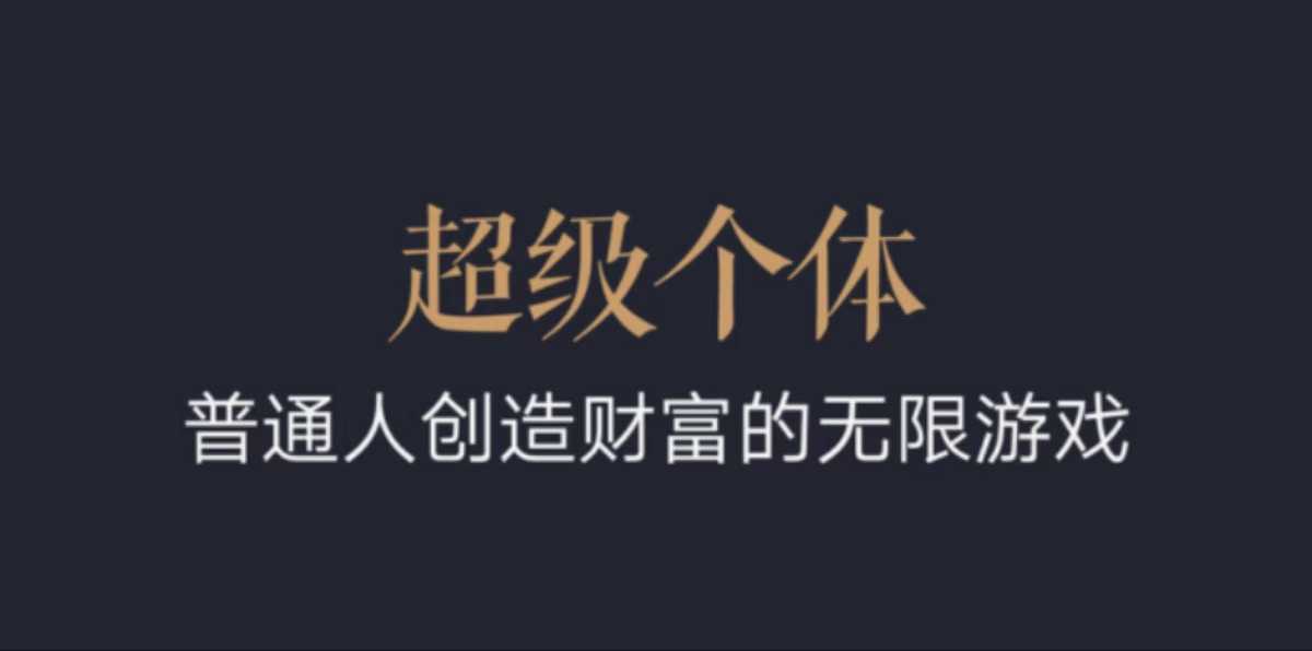 超级个体：2024-2025翻盘指南，普通人创造财富的无限游戏-优才资源站